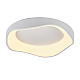 Потолочный светодиодный светильник MyFar Ceiling Diona MR9170-CL