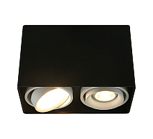Потолочный светильник Arte Lamp A5655PL-2BK