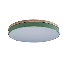 Потолочный светильник Loft IT AXEL 10001/36 Green