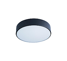 Потолочный светильник Loft IT AXEL 10002/12 Black
