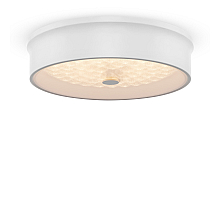 Потолочный светильник Freya Cells FR10011CL-L24W