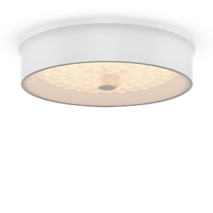 Потолочный светильник Freya Cells FR10011CL-L24W