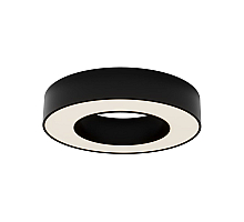 Потолочный светильник Maytoni Lua C093CL-24W3K-B