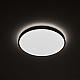 Потолочный cветильник Nowodvorski Agnes Round Led Pro Black 10971