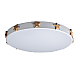 Потолочный светодиодный светильник Loft IT Axel 10006/36 white