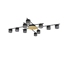 Потолочный светильник Lumion Comfi Agnia 8304/10C
