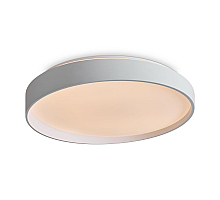 Потолочный светильник Freya Pass FR6222CL-L84W