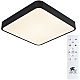 Потолочный светильник Arte Lamp A2663PL-1BK