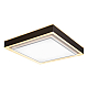 Потолочный светодиодный светильник iLedex Summery B6233-117W/520*520 WH