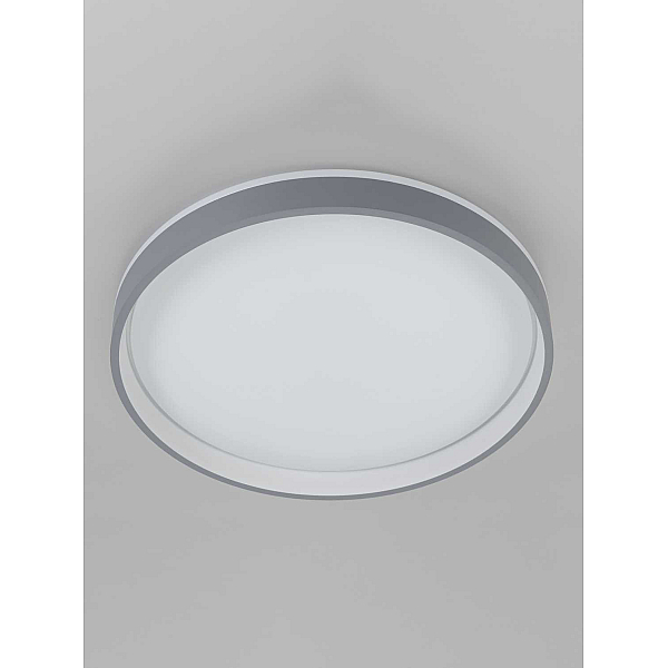 Потолочный светильник Citilux CL753453G