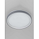 Потолочный светильник Citilux CL753453G