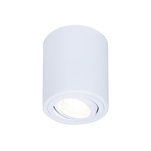 Потолочный светильник Ambrella Light Techno Spot TN225