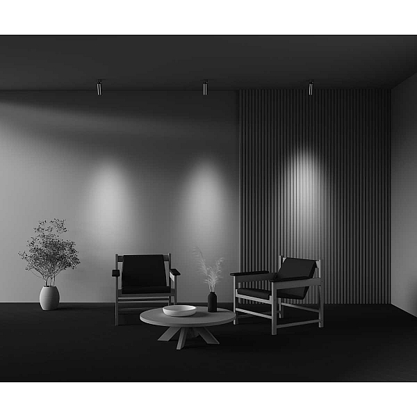 Потолочный светильник Maytoni Technical Ceiling FOCUS LED C055CL-L12W4K-W-PT