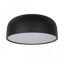 Потолочный светильник Loft IT Axel 10201/480 Black