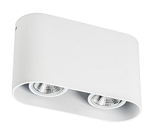 Накладной светильник Lightstar Rullo 214866