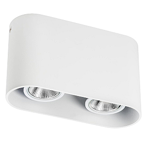 Накладной светильник Lightstar Rullo 214866