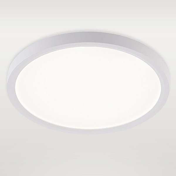 Потолочный светильник Natali Kovaltseva Plain LED LAMPS 81113/2C