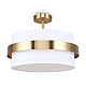 Потолочный светильник Freya Bride FR5367CL-03BS