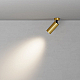 Потолочный светильник Maytoni Technical Focus C017CW-01MG-N