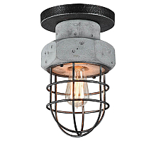 Потолочный светильник Lussole Loft LSP-9701