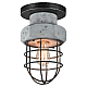 Потолочный светильник Lussole Loft LSP-9701