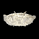 Потолочный светильник Loft IT Clizia 10594/780C White