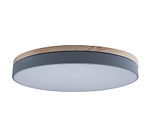 Потолочный светильник Loft IT AXEL 10001/36 Grey
