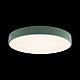 Потолочный светодиодный светильник Loft IT Axel 10002/24  green