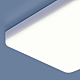 Потолочный светильник Elektrostandard DLS043 10W 4200K a047941