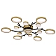 Потолочный светодиодный светильник F-Promo Hybrid 4686-13C