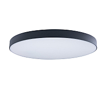 Потолочный светильник Loft IT AXEL 10002/48 Black