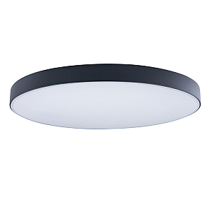 Потолочный светильник Loft IT AXEL 10002/48 Black