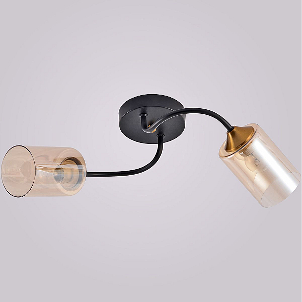Потолочный светильник Reluce 01608-0.3-02 BK+BRASS
