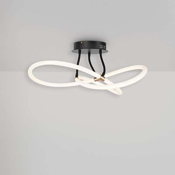 Потолочный светильник Freya Fancy FR6059CL-L35B
