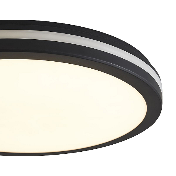 Потолочный светильник Freya Руа / Rua FR6160CL-L40B
