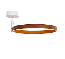 Потолочный светильник DeLight Collection MX18001059-1M coffee/black