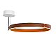 Потолочный светильник DeLight Collection MX18001059-1M coffee/black