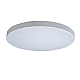 Потолочный светодиодный светильник Loft IT Axel 10002/48 white