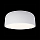 Потолочный светодиодный светильник Loft IT Axel 10201/350 White
