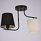 Потолочный светильник Illumico IL8134-2COU-79 BK Beti
