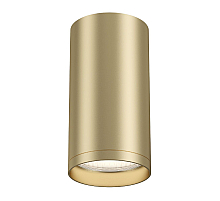 Потолочный светильник Maytoni FOCUS S C052CL-01MG