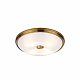 Потолочный светильник Odeon Light Walli Pelow 4956/4