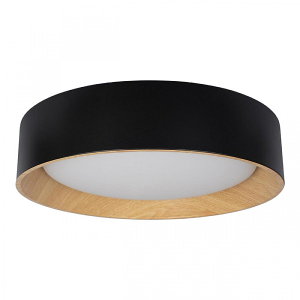 Потолочный светодиодный светильник Loft IT Coin 10202 Black