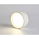 Потолочный светильник Ambrella light Techno Spot IP Protect TN5391