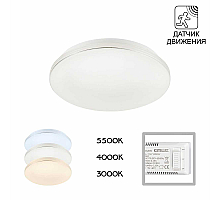 Потолочный светильник Citilux Симпла CL71424SV