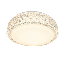 Потолочный светодиодный светильник Arte Lamp Celeste A1568PL-1CL