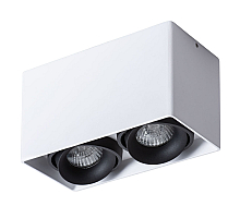 Потолочный светильник Arte Lamp Pictor A5654PL-2WH