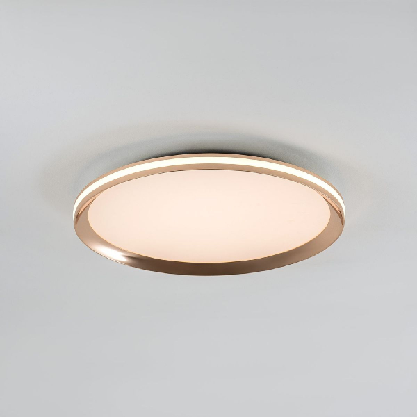 Потолочный светильник LED4U L3020-400 GD Потолочный светильник LED4U L3020-400 GD