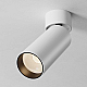 Потолочный светильник Maytoni Technical C055CL-L12W2.7K-SS-W