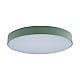 Потолочный светодиодный светильник Loft IT Axel 10002/24  green